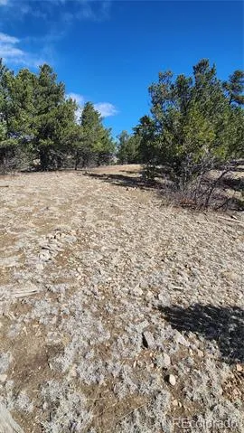 TBD L I Path Cotopaxi, CO 81223