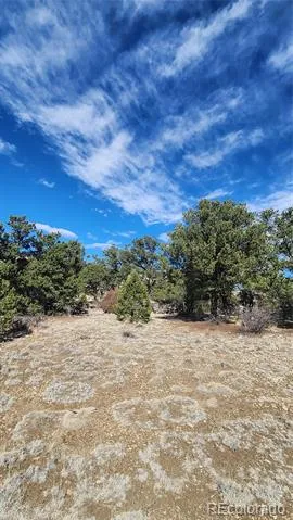 TBD L I Path Cotopaxi, CO 81223