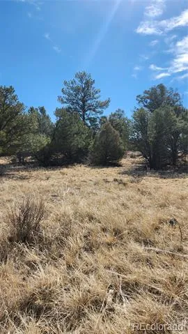TBD L I Path Cotopaxi, CO 81223