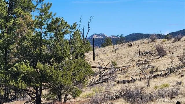 TBD L I Path Cotopaxi, CO 81223