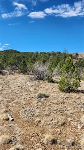 TBD L I Path Cotopaxi, CO 81223