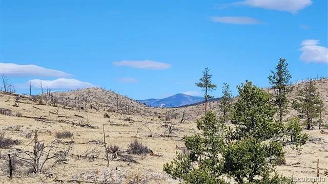 TBD L I Path Cotopaxi, CO 81223