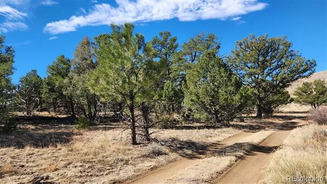 TBD L I Path Cotopaxi, CO 81223
