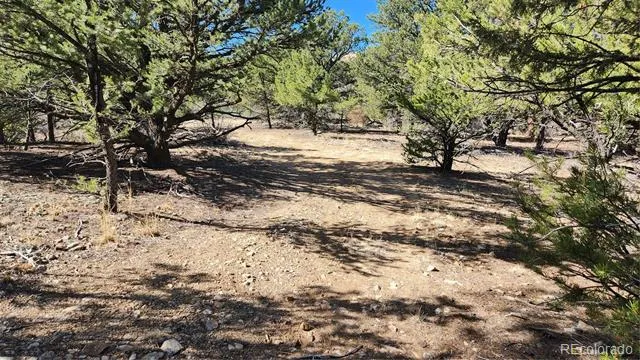 TBD L I Path Cotopaxi, CO 81223