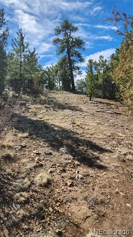 TBD L I Path Cotopaxi, CO 81223