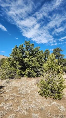 TBD L I Path Cotopaxi, CO 81223