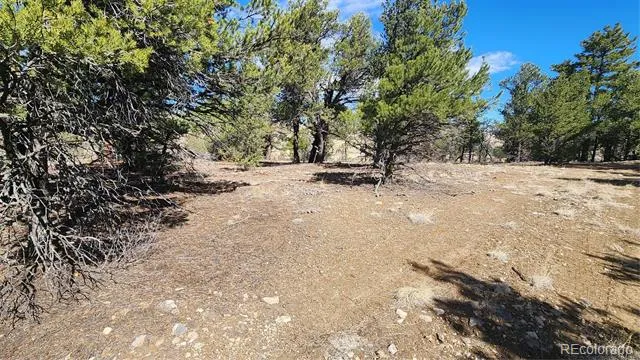 TBD L I Path Cotopaxi, CO 81223