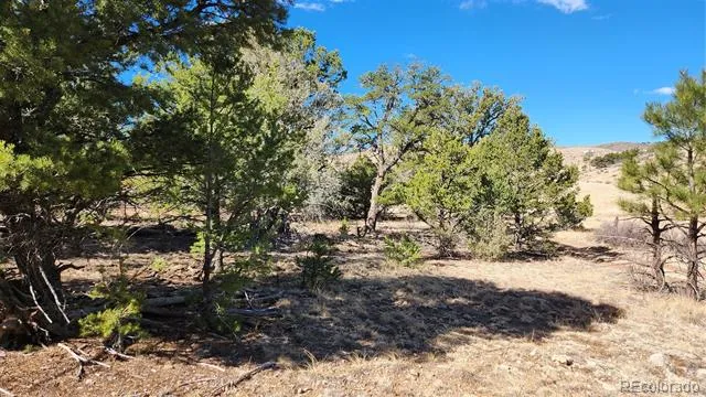 TBD L I Path Cotopaxi, CO 81223