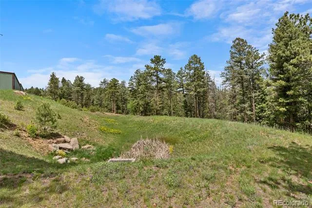 11040 Kitty Drive Conifer, CO 80433