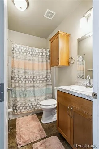 125 12th Street Fairplay, CO 80440