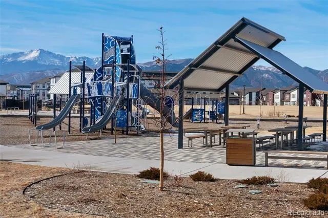 10653 Larimar Point Colorado Springs, CO 80908