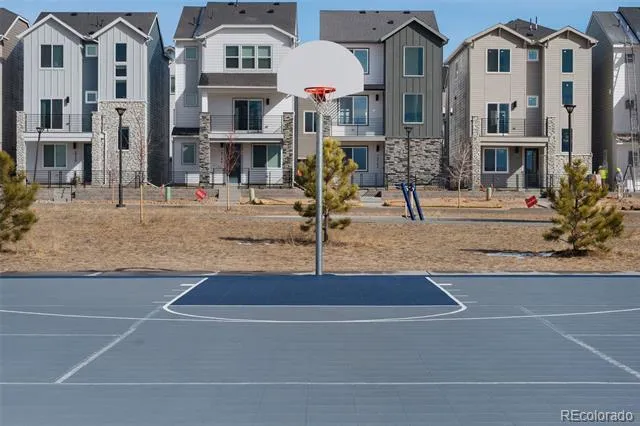 10653 Larimar Point Colorado Springs, CO 80908