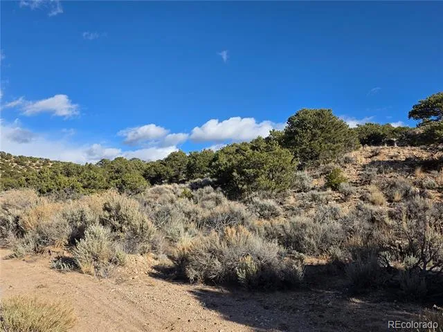 000 Austin Road Fort Garland, CO 81133