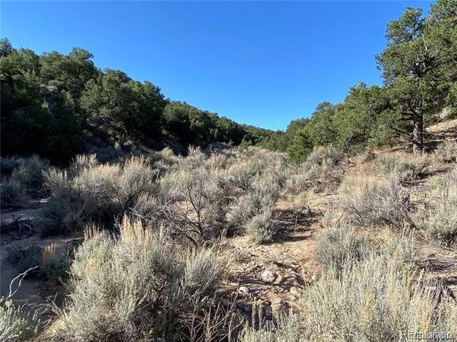 000 Austin Road Fort Garland, CO 81133
