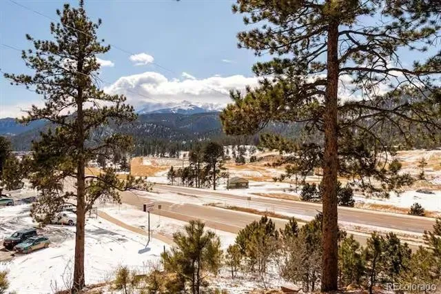 19253 E Highway 24 Woodland Park, CO 80863