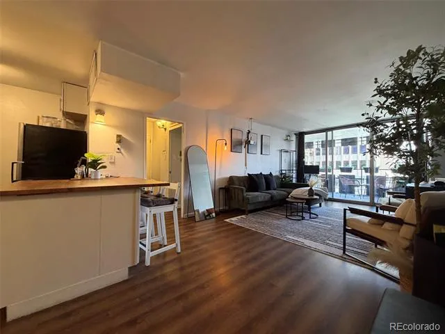 790 Washington Street #206 Denver, CO 80203