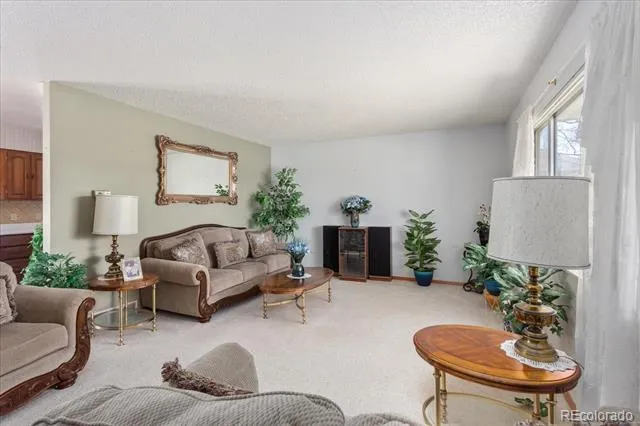 1405 K STREET Salida, CO 81201