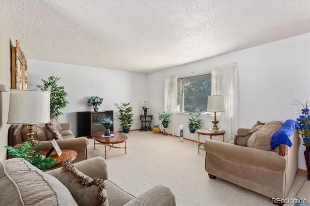 1405 K STREET Salida, CO 81201