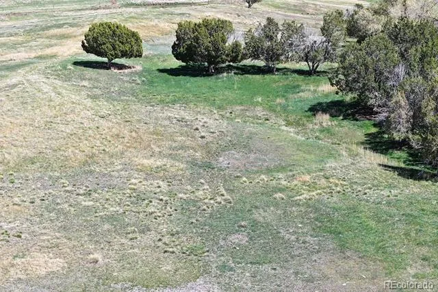 58798 Delores Drive Collbran, CO 81624