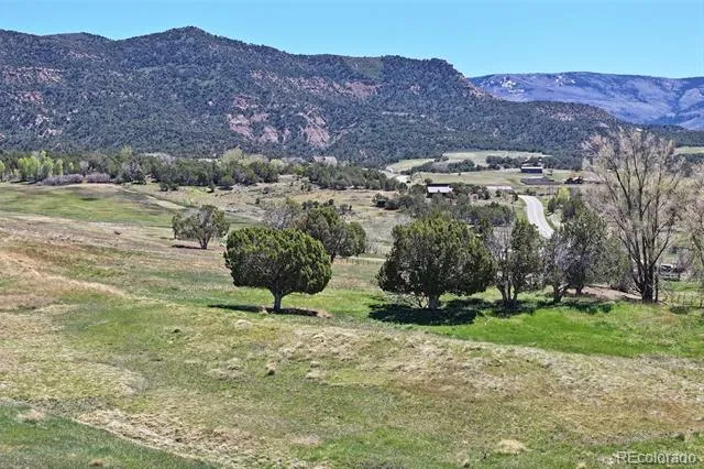 58798 Delores Drive Collbran, CO 81624