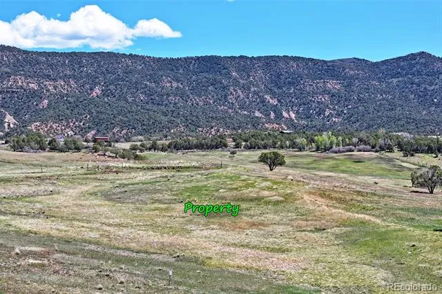 58798 Delores Drive Collbran, CO 81624