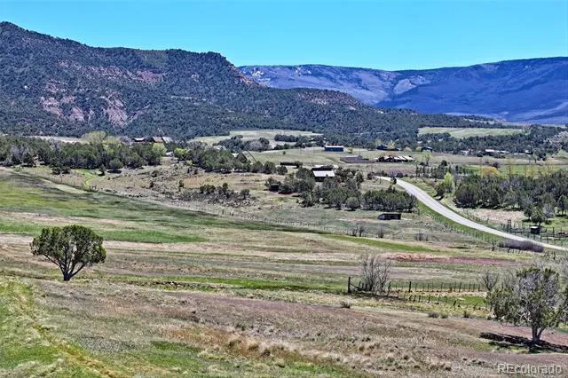 58798 Delores Drive Collbran, CO 81624