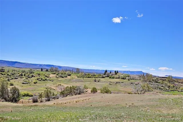 58798 Delores Drive Collbran, CO 81624