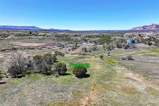 58798 Delores Drive Collbran, CO 81624