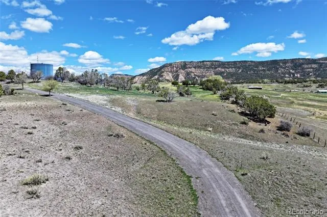 58798 Delores Drive Collbran, CO 81624