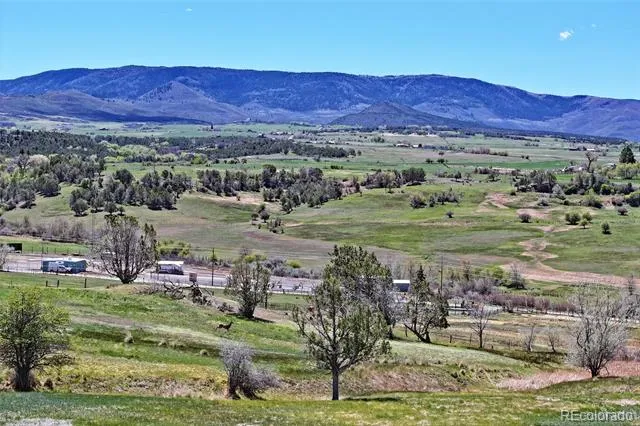 58798 Delores Drive Collbran, CO 81624