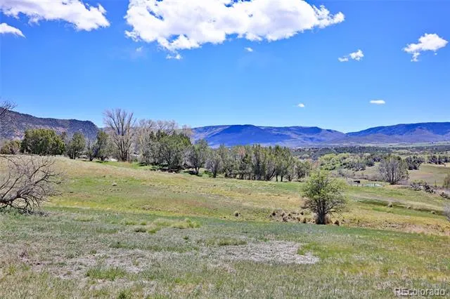 58798 Delores Drive Collbran, CO 81624