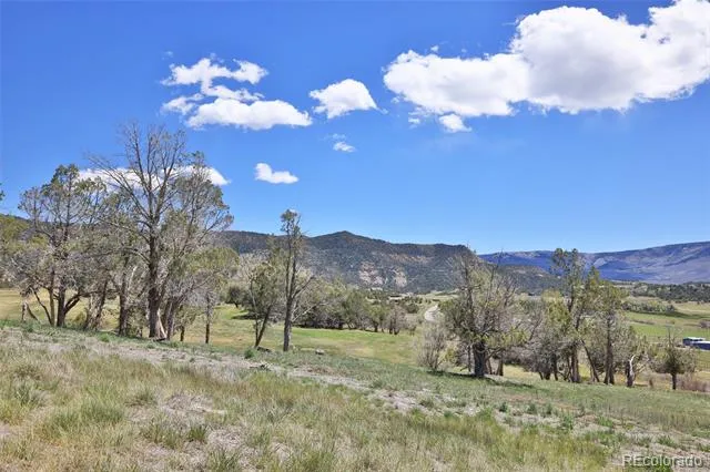 58798 Delores Drive Collbran, CO 81624