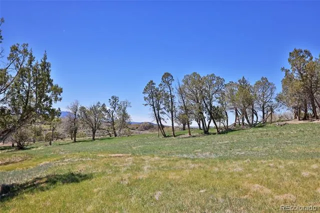 58798 Delores Drive Collbran, CO 81624