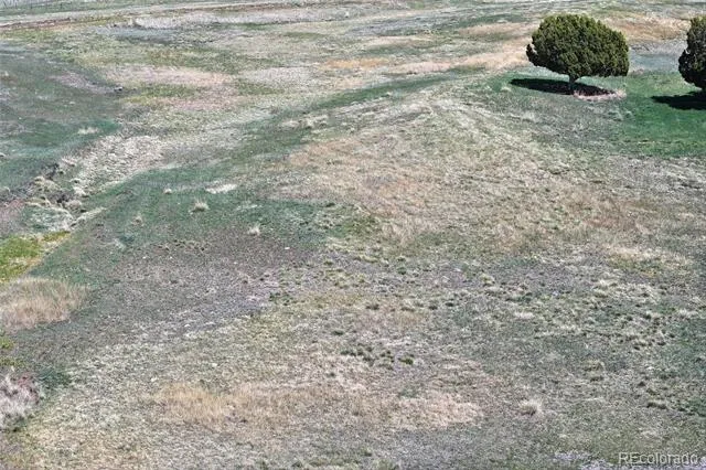 58798 Delores Drive Collbran, CO 81624