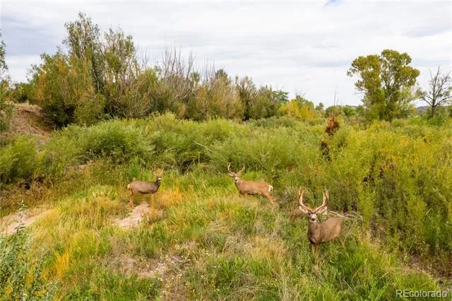 S INTERSTATE 25 Castle Rock, CO 80104