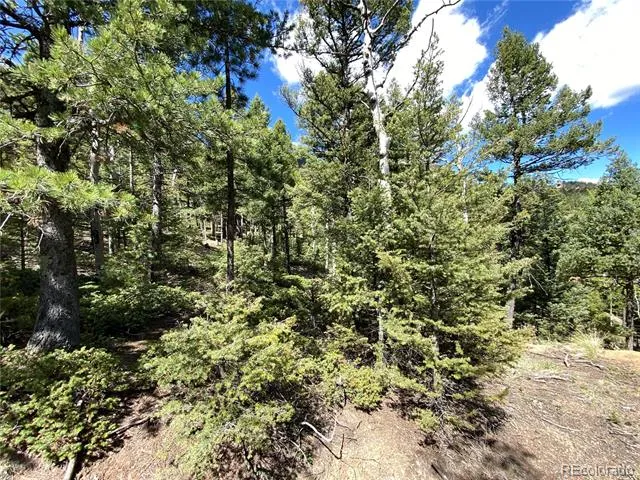 210 Waterfall Loop Manitou Springs, CO 80829