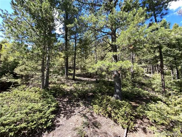 210 Waterfall Loop Manitou Springs, CO 80829