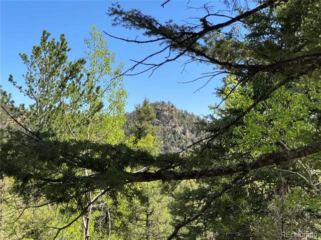 210 Waterfall Loop Manitou Springs, CO 80829