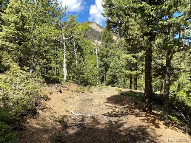 210 Waterfall Loop Manitou Springs, CO 80829