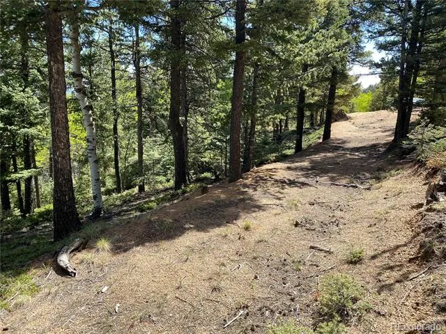 210 Waterfall Loop Manitou Springs, CO 80829