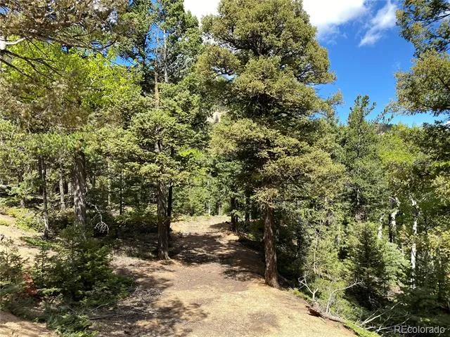 210 Waterfall Loop Manitou Springs, CO 80829