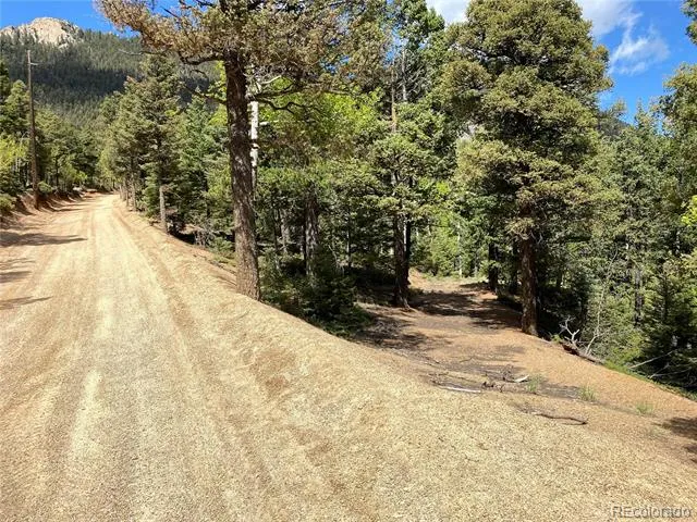 210 Waterfall Loop Manitou Springs, CO 80829