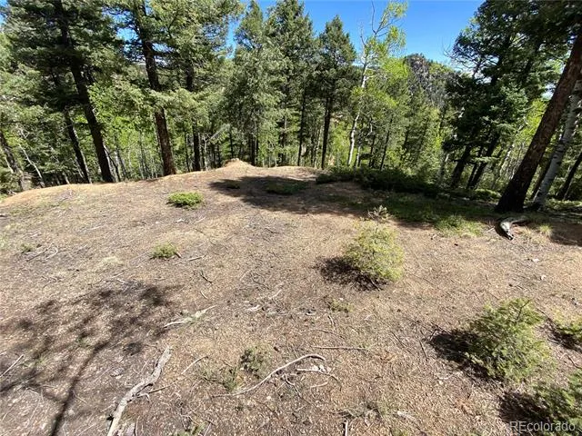 210 Waterfall Loop Manitou Springs, CO 80829