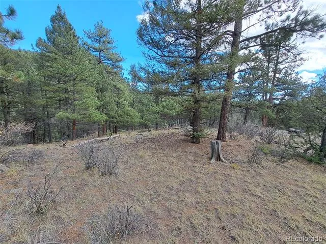 1077 Roland Drive Bailey, CO 80421