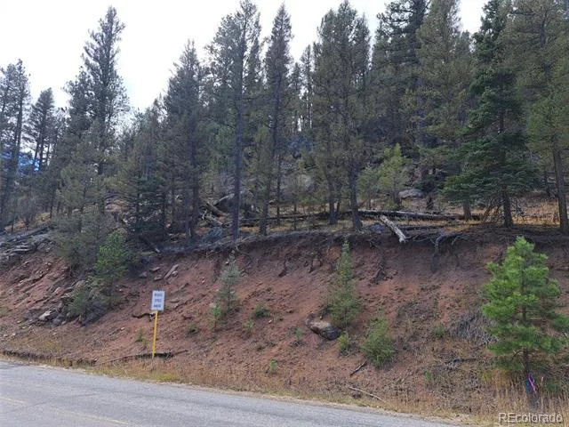1077 Roland Drive Bailey, CO 80421