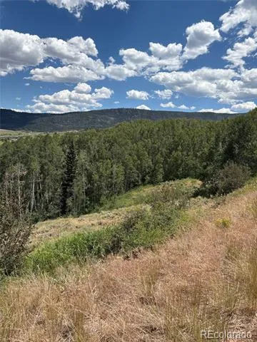 1874 GCR 162 Kremmling, CO 80459
