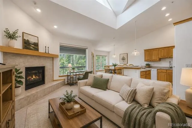 91399 Ryan Gulch Road #B6 Silverthorne, CO 80498