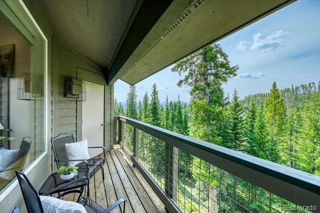 91399 Ryan Gulch Road #B6 Silverthorne, CO 80498