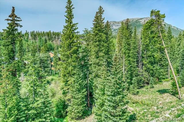 91399 Ryan Gulch Road #B6 Silverthorne, CO 80498