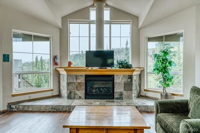 91399 Ryan Gulch Road #B6 Silverthorne, CO 80498